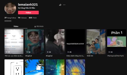 Mai Anh (Tiktok: lemaianh321)-0374509523