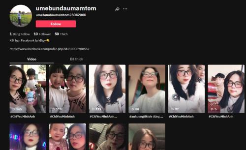 Đặng Mai Anh (Tiktok: umebundaumamtom)-0856280406